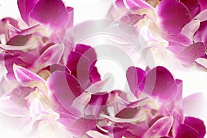 Dendrobium orchid lei abstract