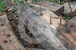 Dengerous rusty nail on wood board plank.