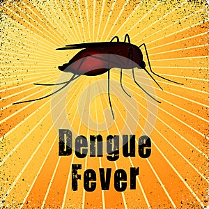 Dengue Fever, Breakbone Fever, Blood-filled Mosquito photo