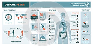 Dengue fever infographic photo
