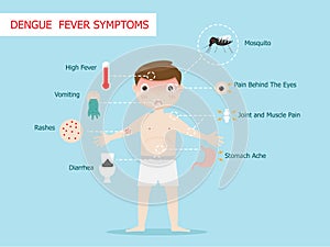 Dengue fever symptoms infographics