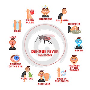 Dengue Fever Symptoms Information Banner Template Vector Illustration