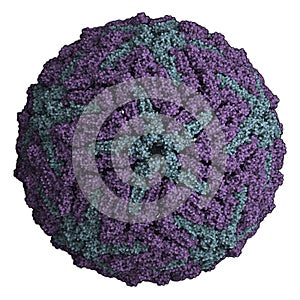 Dengue virus. Causes dengue fever breakbone fever. Atomic-level structure.