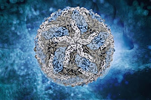 Dengue virus digital image structure.