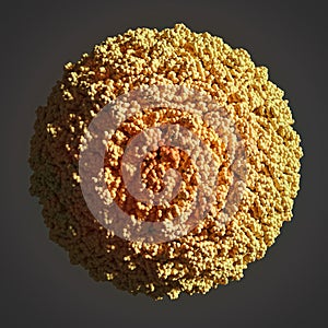 Dengue Virus Structure
