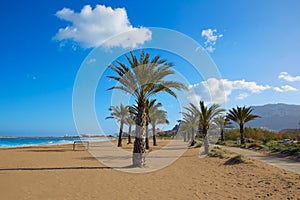 Denia beach Las Marinas with palm trees Alicante photo