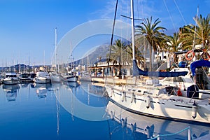 Denia marina port boats and Mongo