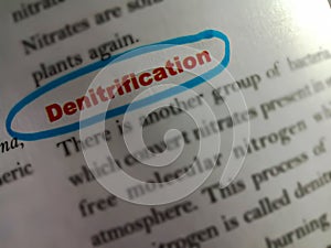 denitrification science related terminology displayed on white paper abstract background