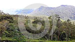 deniyaya mountains in southern srilanka