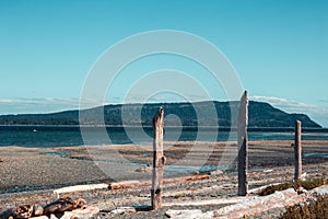 Denman Island, Vancouver Island, British Columbia, Canada: the typical beach atmosphere; driftwood on the gravel sand and