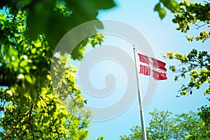 Denmark flag, Danish flag waving in the wind between trees photo
