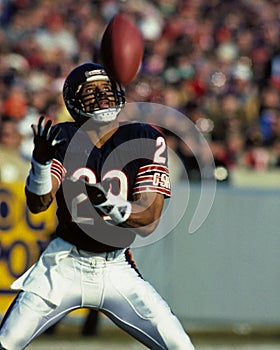 Dennis Gentry Chicago Bears