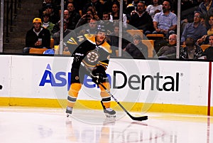 Dennis Seidenberg Boston Bruins