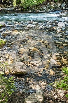 Denny Creek Rocky Shallows