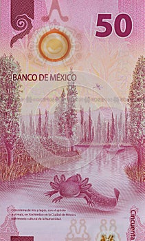 Denominations Mexico banknotes fifty pesos national a money photo