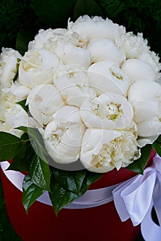 Dense bouquet of peony roses in a red round box.