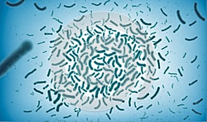 dense cluster of microscopic bacteria view