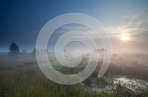 Dense fog over marsh at sunrise