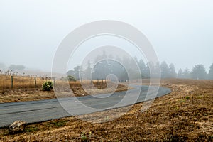 Dense fog over Napa County and the Wine Crusher Statue in Napa, California