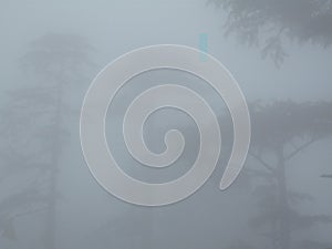 Dense fog view in kashmir, fog view in kashmir, kashmir fog, dense fog photo