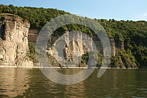 Dense forest on a cliff above the river