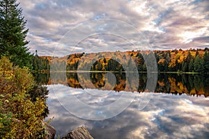 Dense forest and cloudy sky reflectiong in the calm waters of a lake at sunset photo