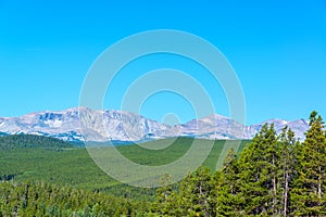 Dense Forest and Mountain Range