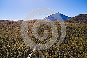 A dense forest with a road in the mountains and a view of the Teide volcano in Spain