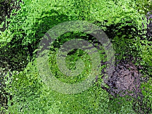 Dense Green Tree Moss Abstract Background