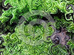 Dense Green Tree Moss Abstract Background