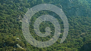 Mountain with dense green forest background
