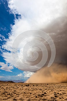 Haboob dust storm in the Mohave Desert photo