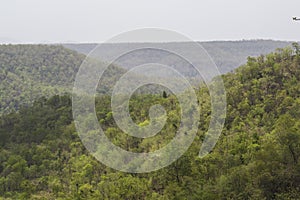 Dense Indian Forest and the Valley