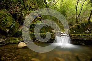 Dense Lush Forest and Man-made Waterfall