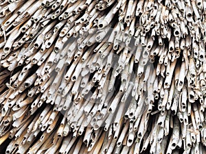Dense rows of grey weathered roof reeds in an irregular pattern
