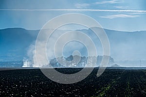 Dense smoke near pine woods on empty agricultural field, negligent people burning the dried vegetation photo