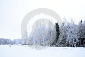 Dense snowy frosty foggy forest Park on the slope of the river. Frozen pond pond field. Cloudy