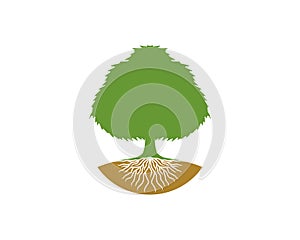 Dense tree with root vector illustration