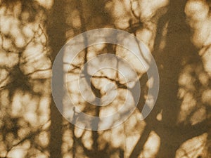 Dense tree shadows on the beige wall in a sunny day. Abstract blurry natural background.