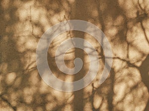 Dense tree shadows in a sunny day on a brown wall. Abstract blurry natural background.