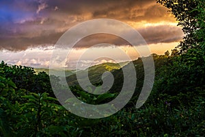 Dense Tropical Rain Forest, Santa Elena, Costa rica