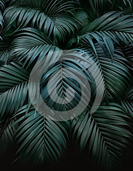 A dense, vibrant texture of overlapping lush green tropical leaves, showcasing natureÃ¢â¬â¢s complexity photo