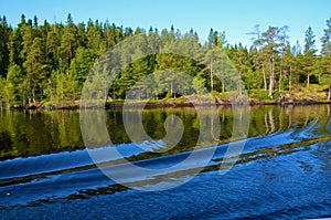 Dense, wild, green forest on lake. Water waves on a clear day, blue sky. Vacation concept