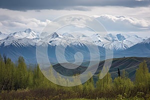 densely forested mountain range, with snow-capped peaks visible on the horizon