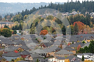 Densely Populated Suburban Residential Neighborhood