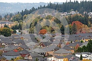 Densely Populated Suburban Residential Neighborhood photo