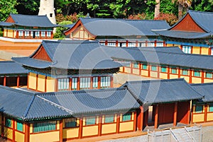 Densely populated temple compound