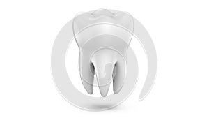 Dental 3d model of premolar tooth as a concept of dental examination teeth, dental health and hygiene. 3d rendering