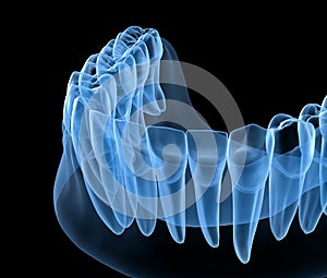 Dental Anatomy of mandibular human gum and teeth, x-ray view. Medically accurate tooth 3D illustration