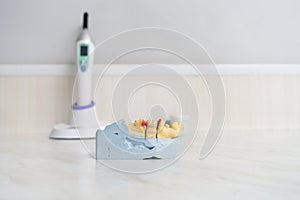 Dental ceramic crown on a plaster model